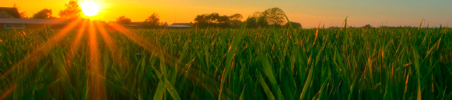 Smart Agro landscape