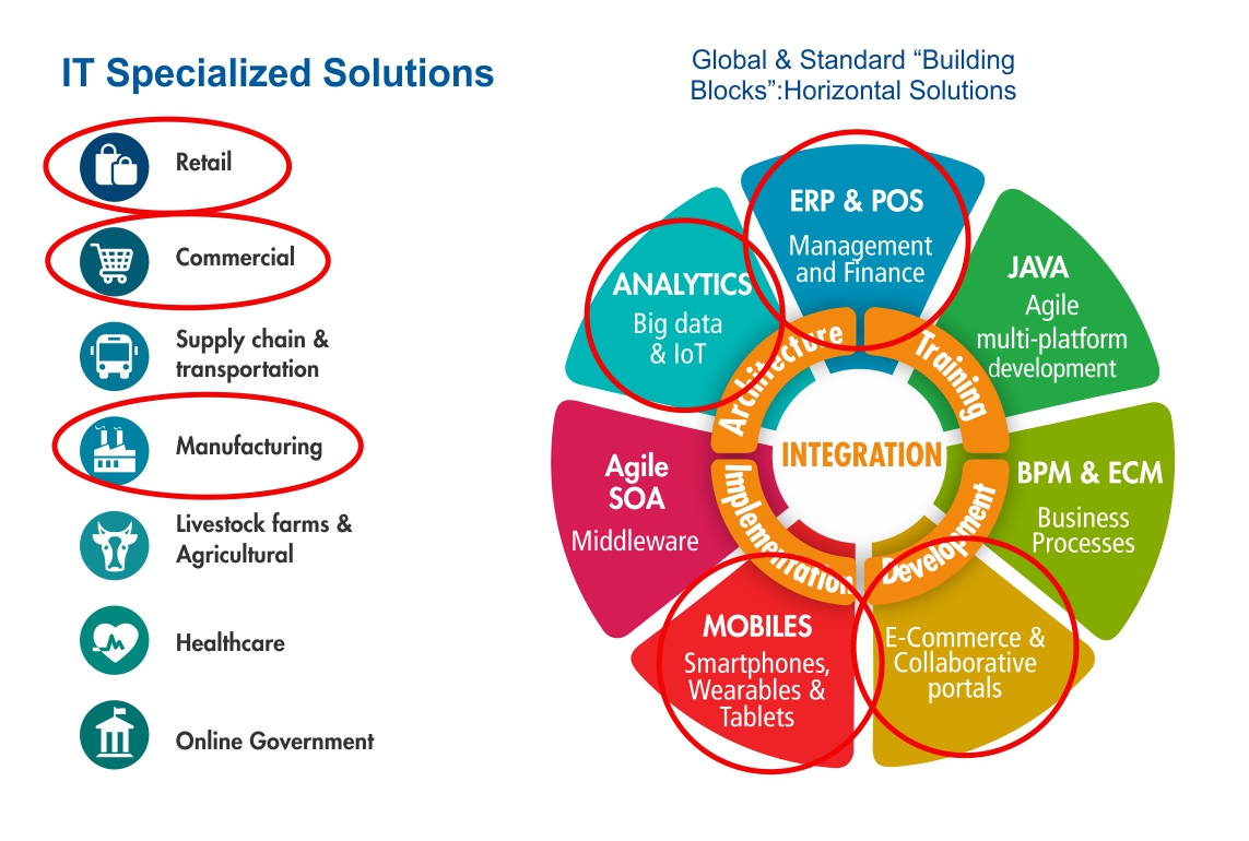 IT Specialized Solutions
